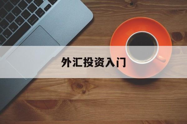 外汇投资入门(外汇投资入门与实战精解)